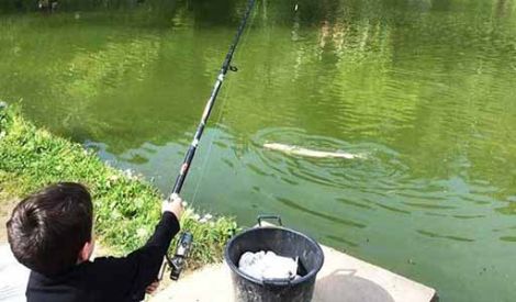 pesca
